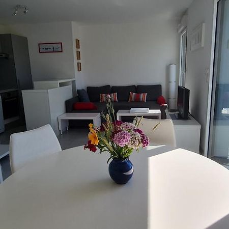 Appartement Devant La Plage Avec Piscine Concarneau Εξωτερικό φωτογραφία